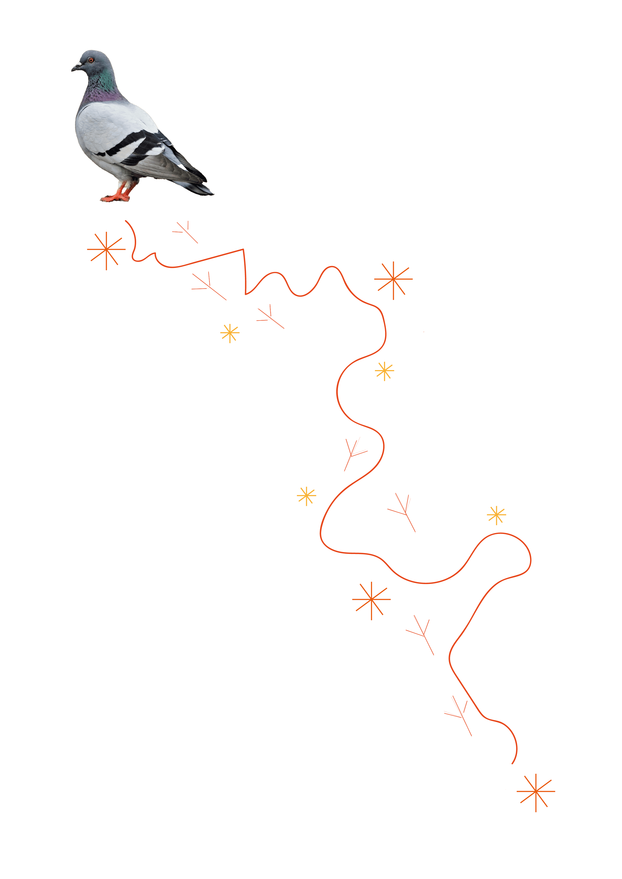 Mapa interactivo
