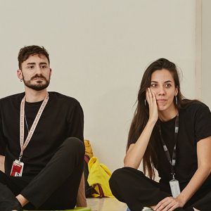 Desmusea